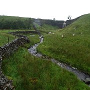 DSC03468