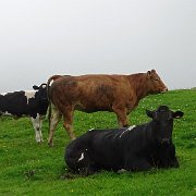 DSC03477