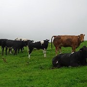 DSC03478