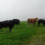 DSC03480