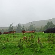 DSC03481