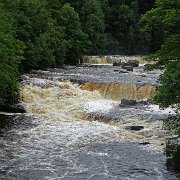 DSC03490