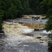 DSC03491