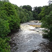 DSC03493