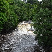 DSC03494