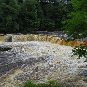 DSC03496