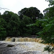 DSC03501