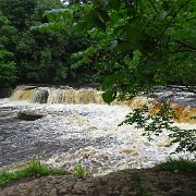 DSC03502