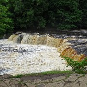 DSC03505