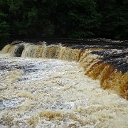 DSC03508
