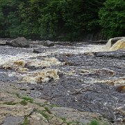 DSC03515