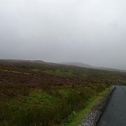 DSC03518