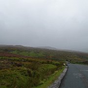 DSC03519