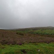 DSC03520