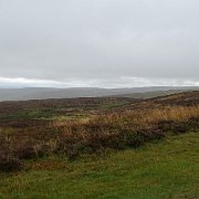 DSC03522