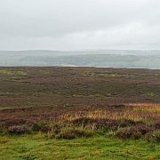 DSC03523