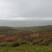 DSC03524