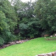 DSC03531