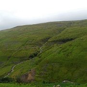 DSC03541