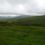 DSC03552