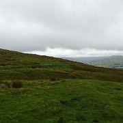 DSC03554