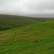 DSC03558