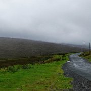 DSC03593
