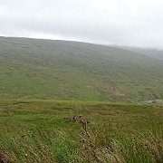 DSC03597