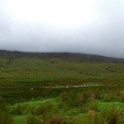 DSC03614