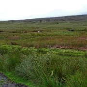DSC03623