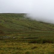 DSC03625