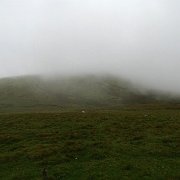 DSC03630