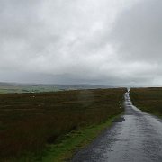 DSC03634
