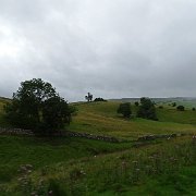 DSC03639