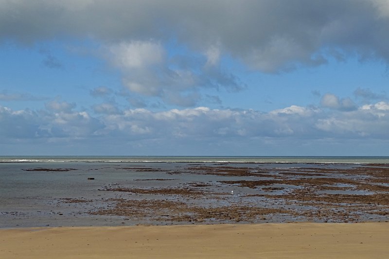 DSC01749
