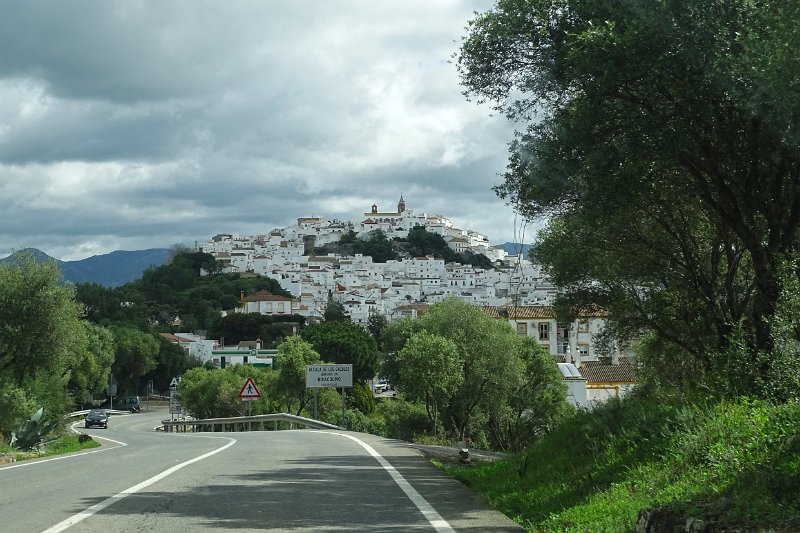 DSC01800