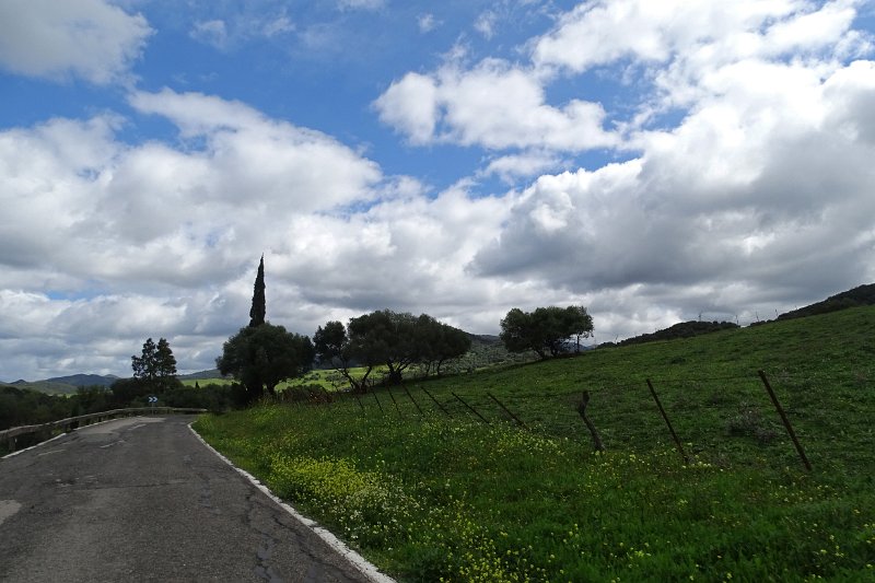 DSC01806