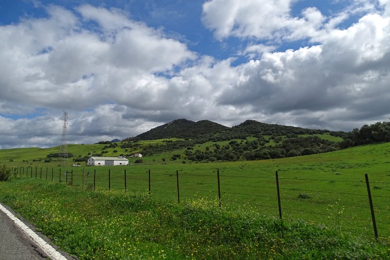 DSC01809