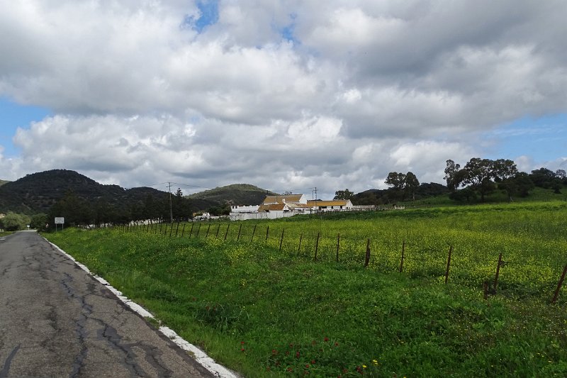 DSC01811