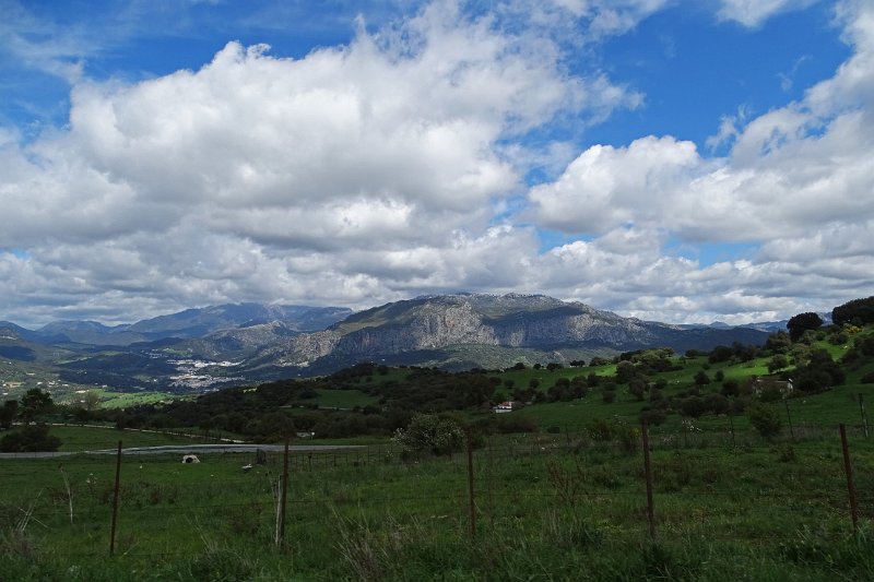 DSC01860