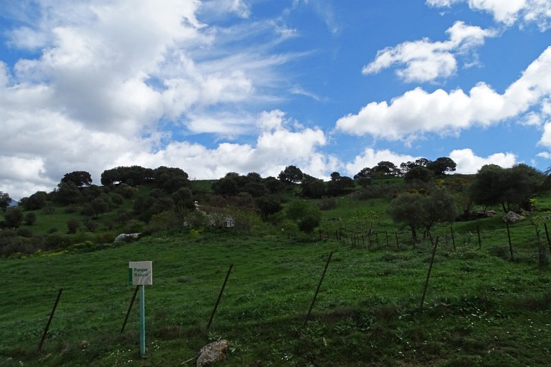 DSC01863