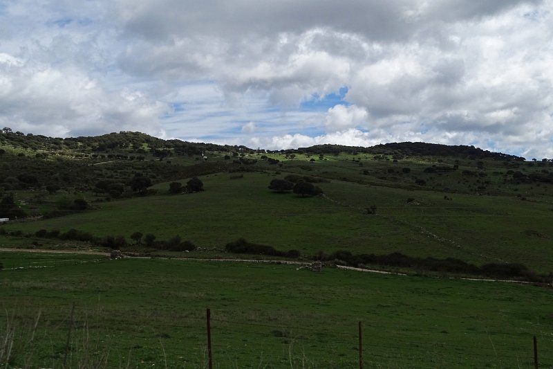 DSC01926