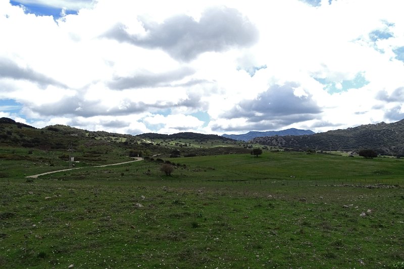 DSC01933