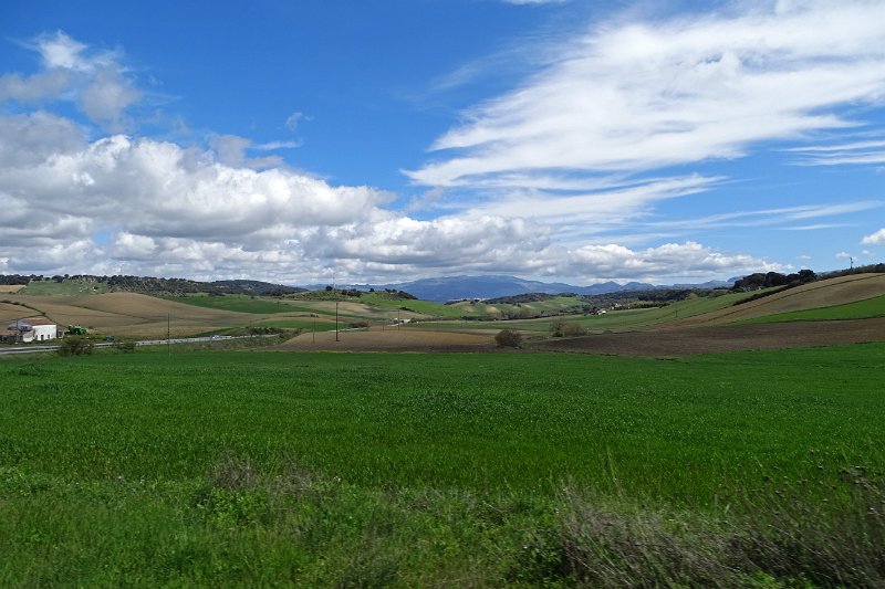 DSC01954