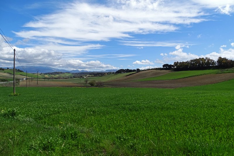 DSC01955