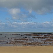 DSC01749