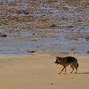 DSC01755