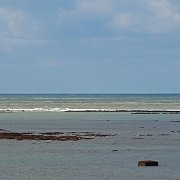 DSC01761