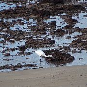 DSC01764