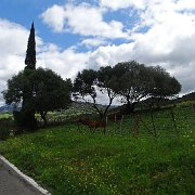 DSC01807